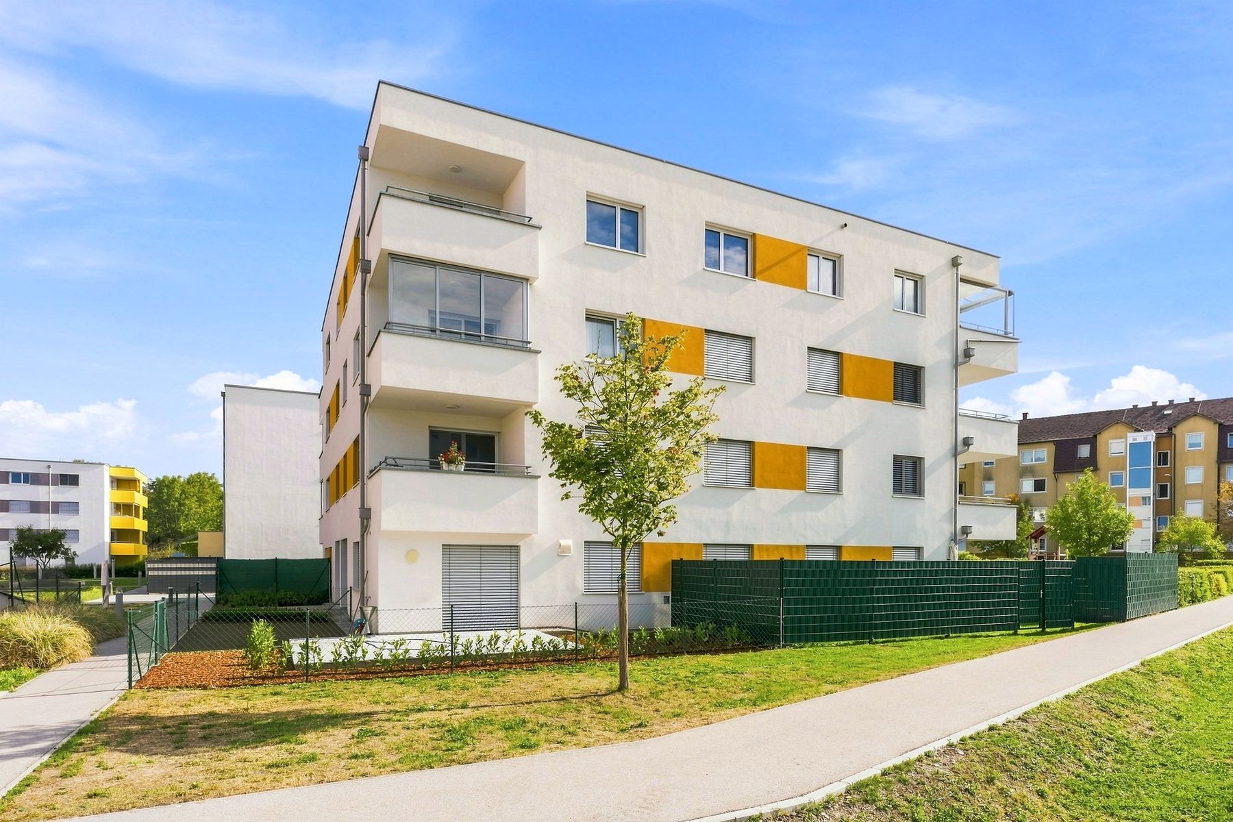 Neubau mit Balkonen und jungem Baum